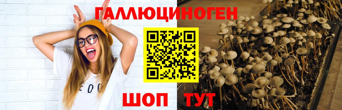 Галлюциногенные грибы прущие грибы Скопин